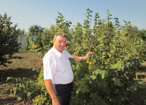 Іван Косенко у фундуковому саду.