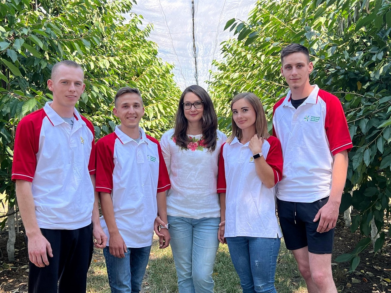 Умань, Уманська фруктова компанія, черешні