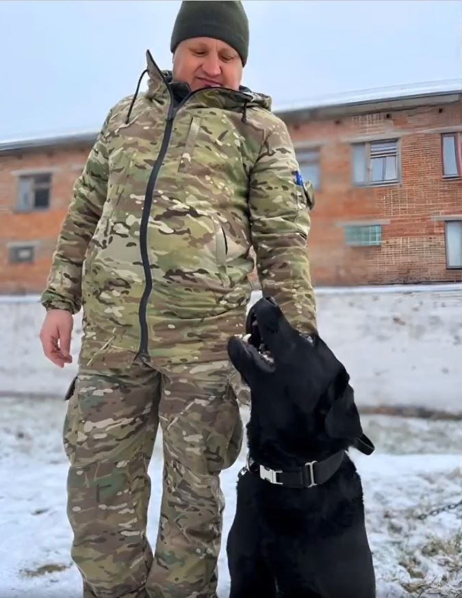 лабрадор в поліції