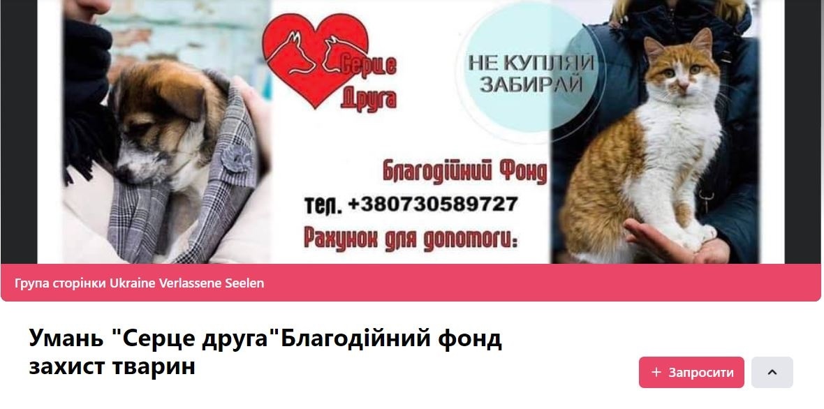 серце друга 