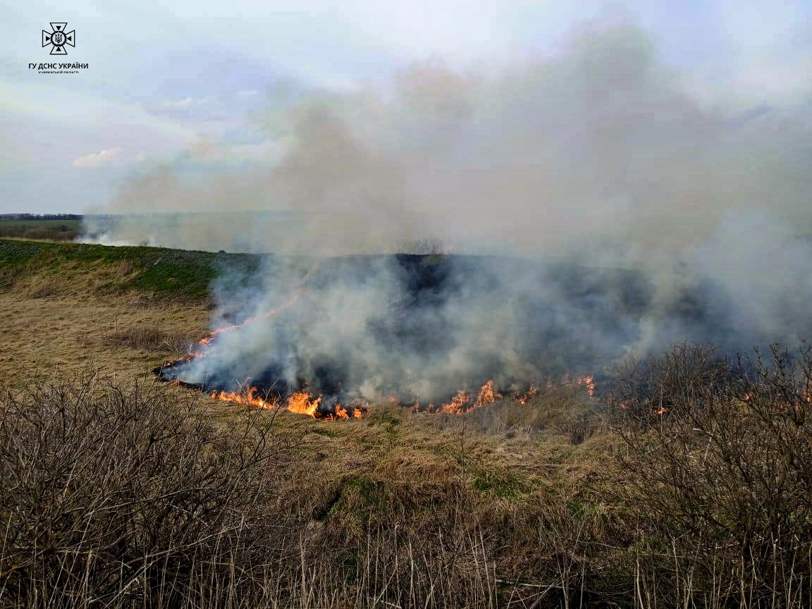 Умань, пожежі в екосистемах, спалювання сухостою