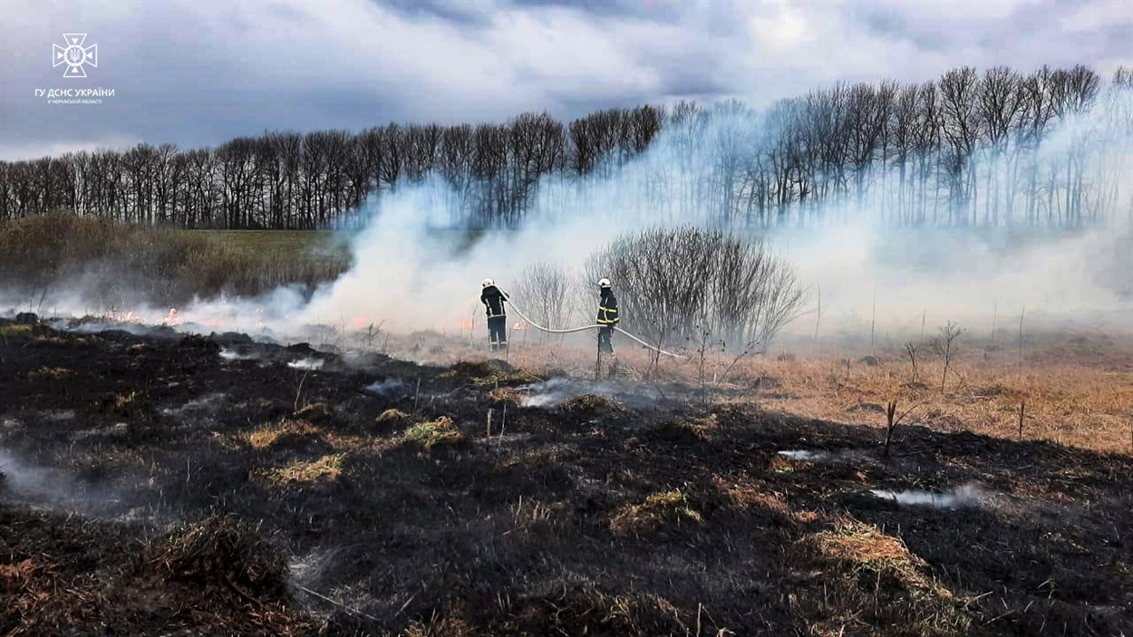 Умань, пожежі в екосистемах, спалювання сухостою