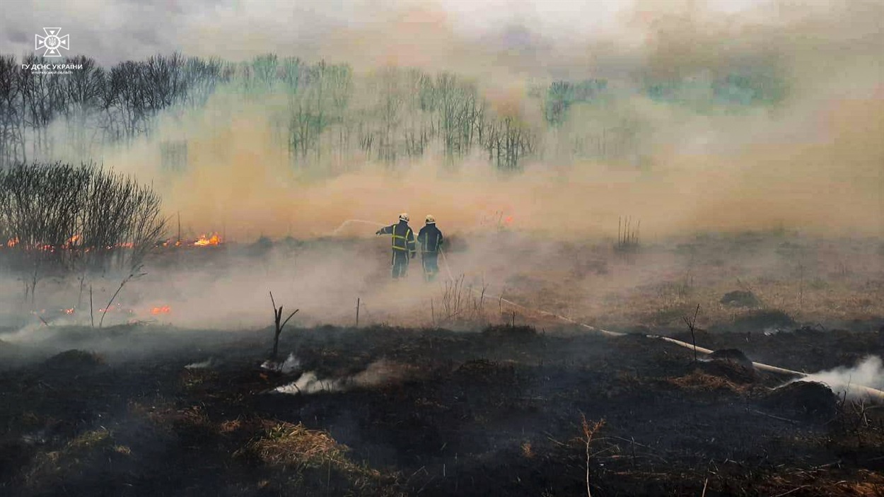 Умань, пожежі в екосистемах, спалювання сухостою